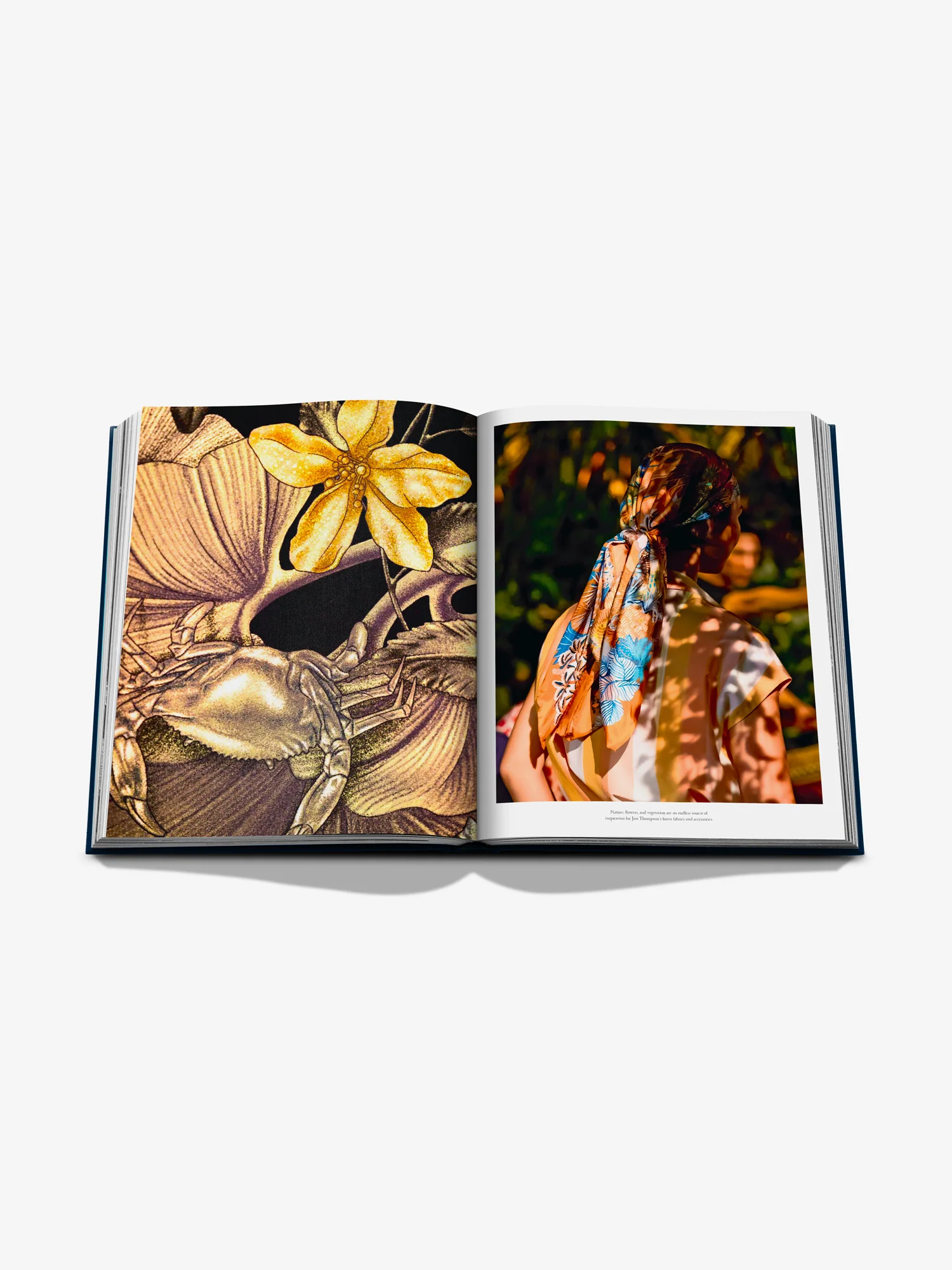 Beyond Silk, Beyond Thailand - Coffee Table Book - Image 6